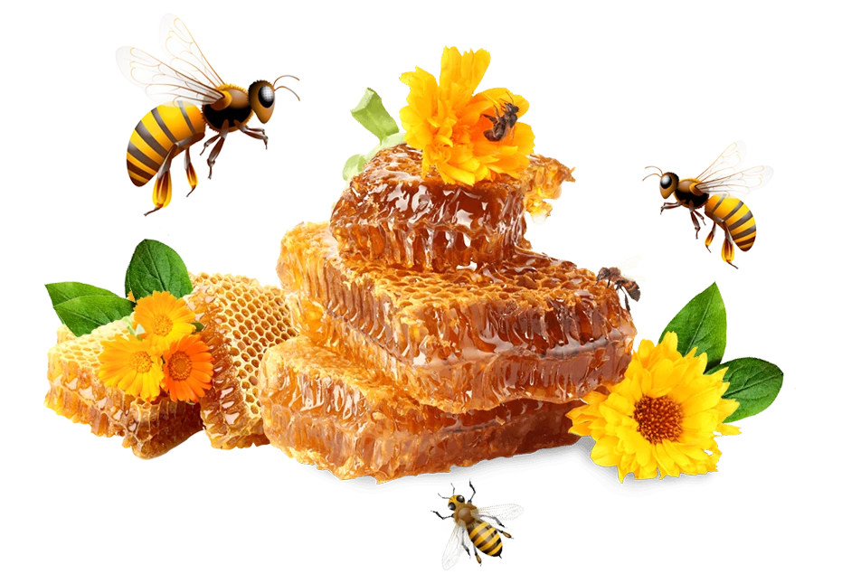 Madu sarang dengan bunga kuning dan lebah